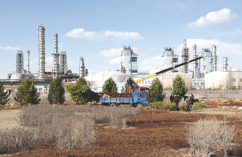 飞球直播平台展示